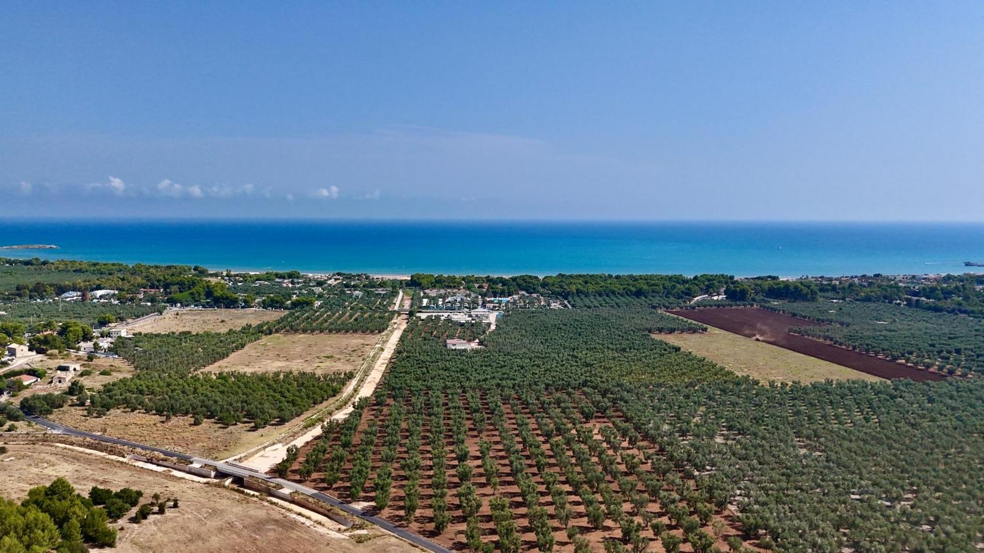 Villa Amica เวียสเต ภายนอก รูปภาพ